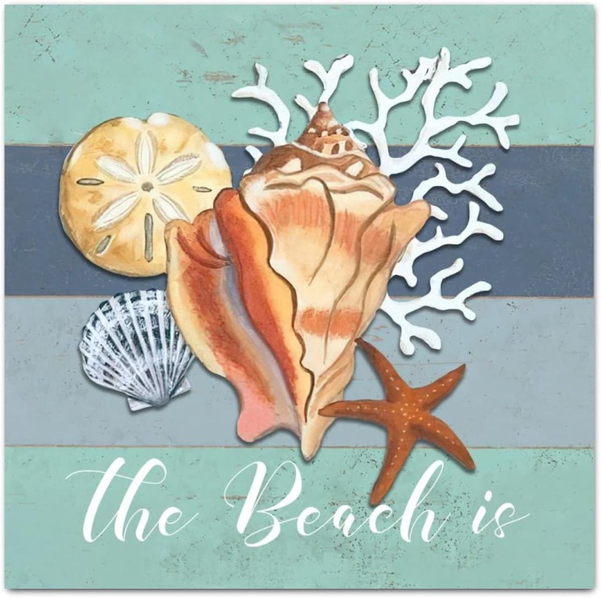 RightMea Beach Ocean Theme Shells Conch Starfish Wall