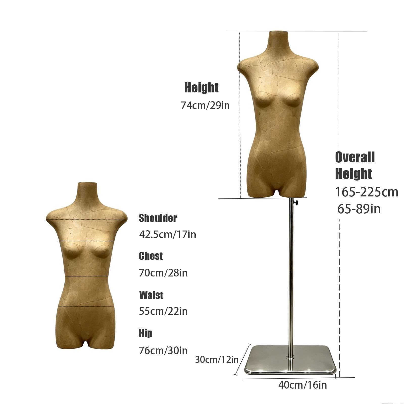 Manichino Torso Schiena Piatta Carta Kraft, Forma Altezza Regolabile Busto | Manichino in Fibra di Vetro, Base Rotonda o Quadrata Metallica, Ideale Vetrine, Esposizioni Abbigliamento(Square)