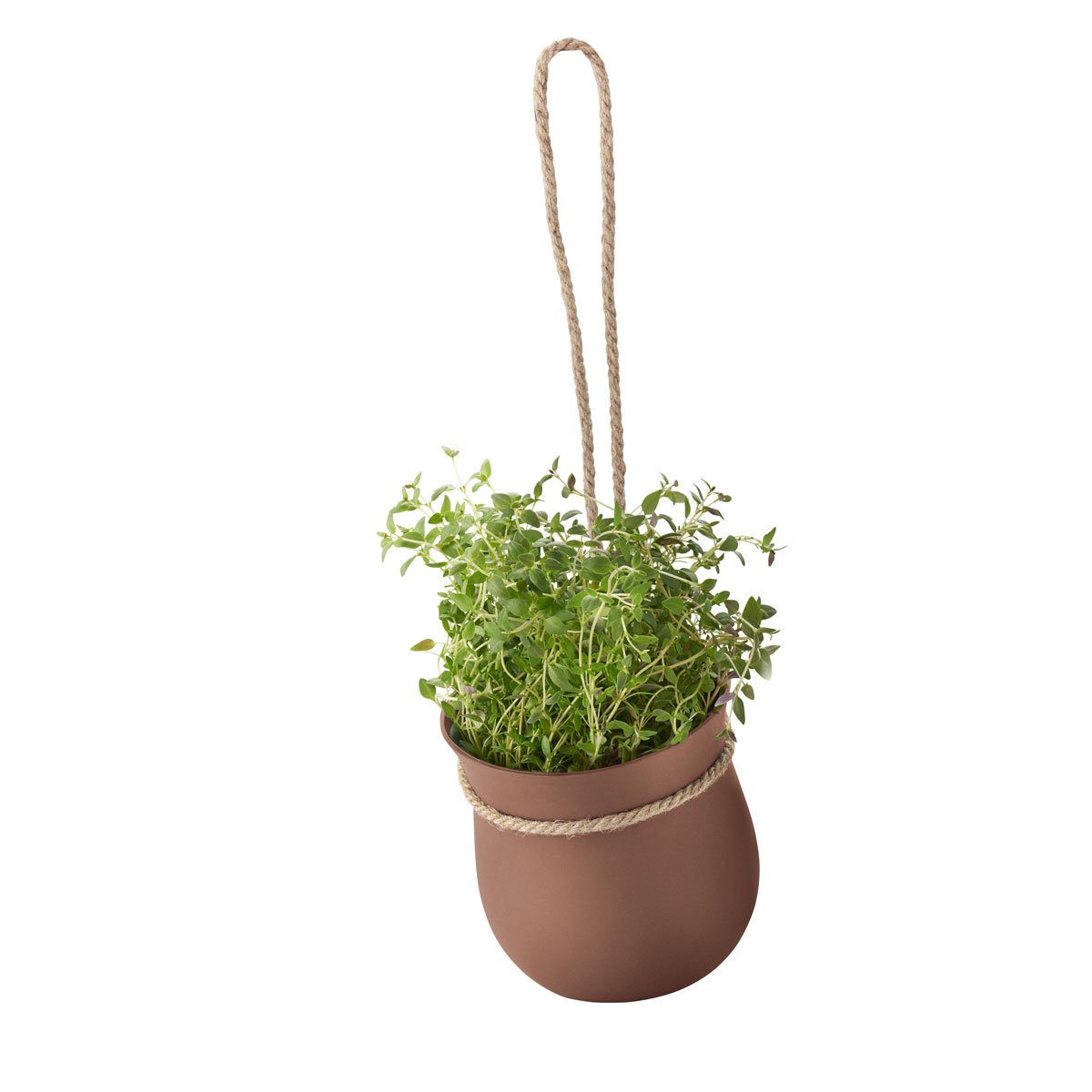 Pot à herbes marron Rig Tig Z00130-1 pour cuisine