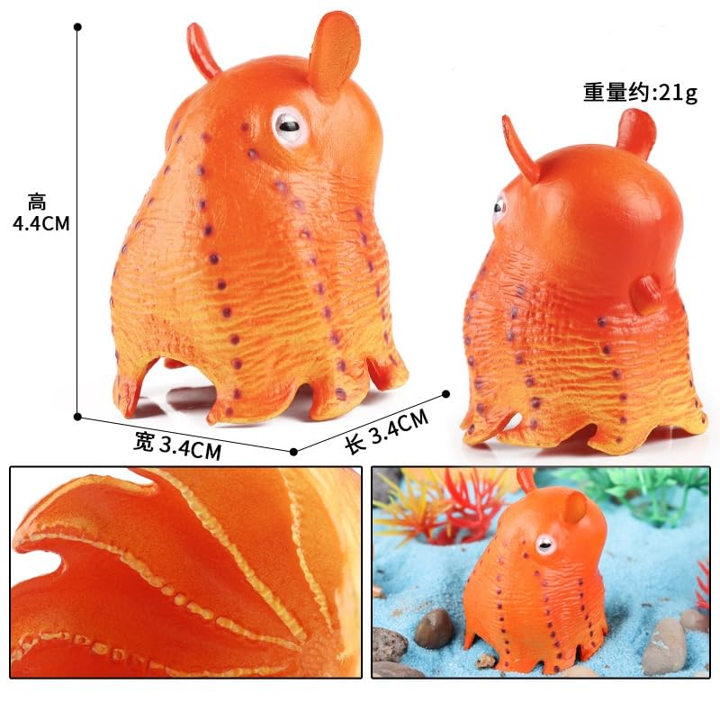 Amazon | EUHELOPA ジュウモンジダコ 頭足綱 メンダコ科 海の生き物