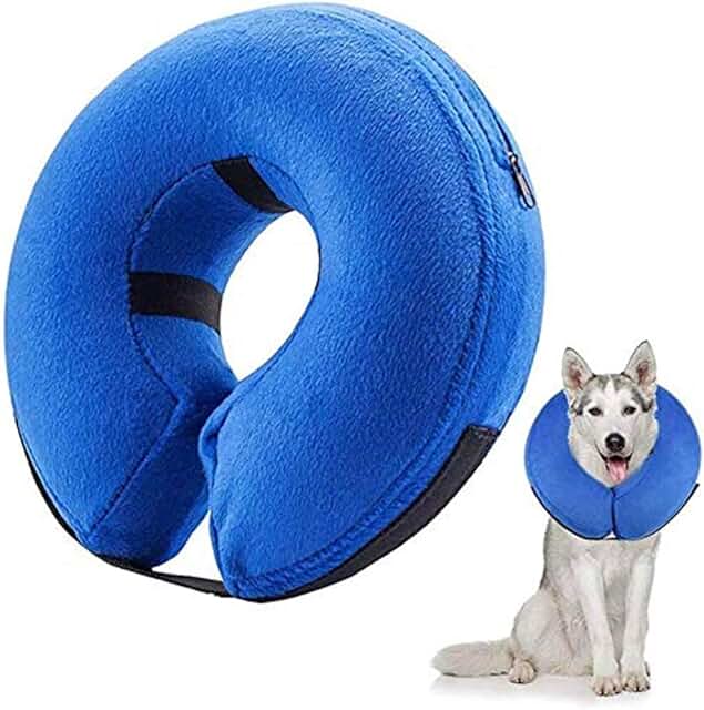 Amazon.ca dog cones