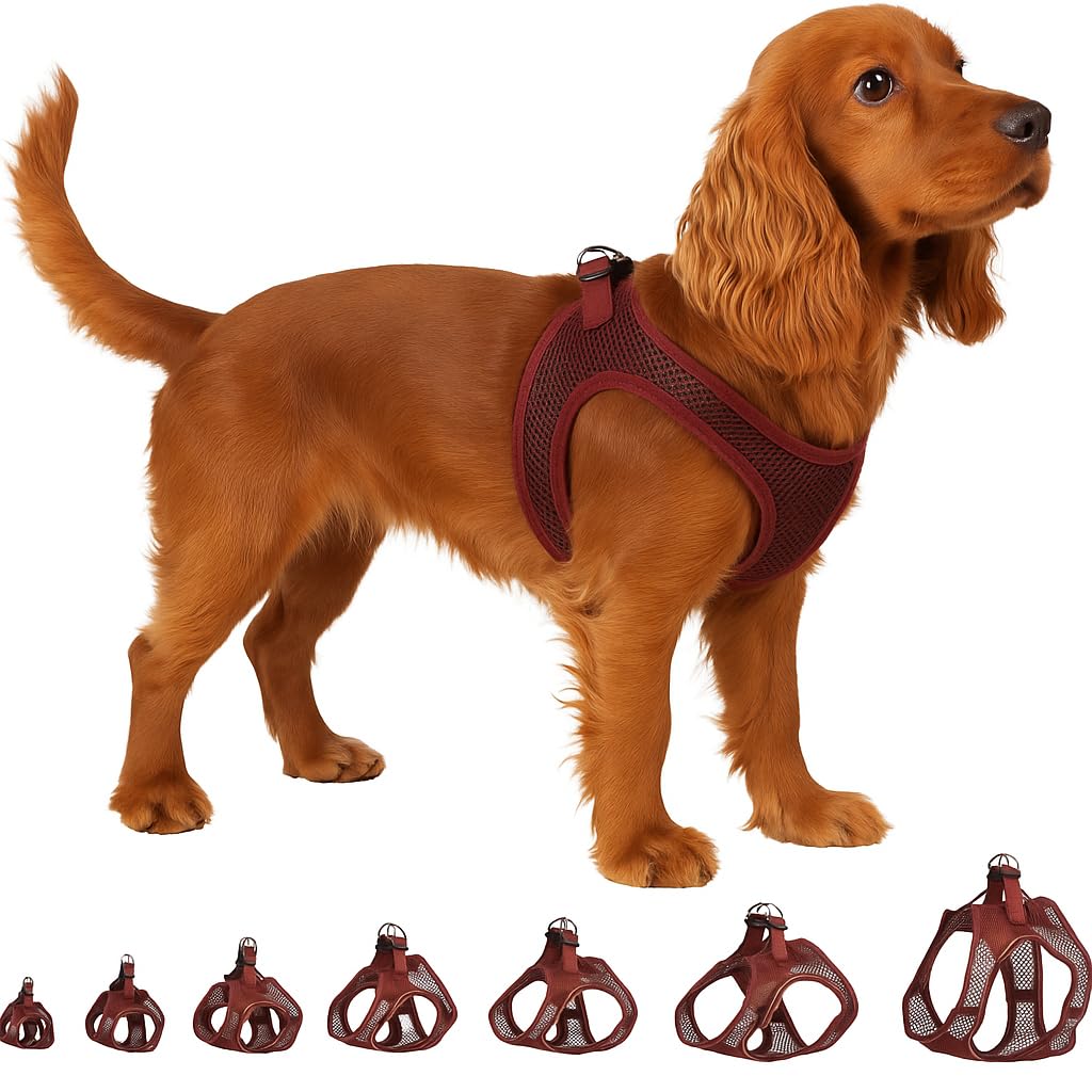 Flamingo Step-Go Bento Harness – Aubergine, M (A:30-35 cm, B:41-44 cm, 3 mm), Comfortable and Adjustable, Ideal for French Bulldog, Pug, Shih Tzu, Miniature Schnauzer, etc.