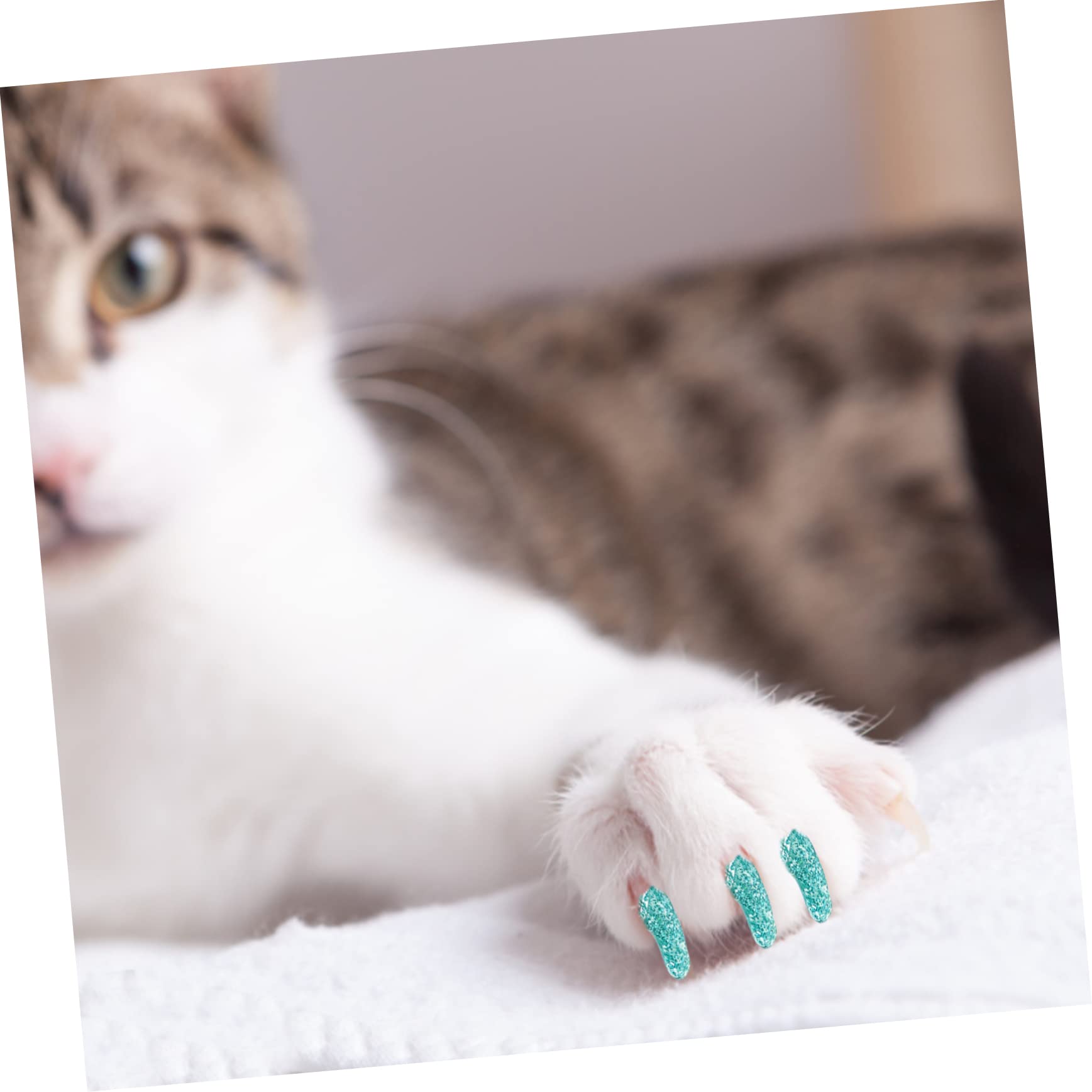 SUPVOX 30 Ensembles De Kit D'Ongles pour Chat Couvre-Ongles pour Animaux De Compagnie Couvre-Ongles pour Fournitures Quotidiennes Griffes pour Animaux De Compagnie Griffes De Chat