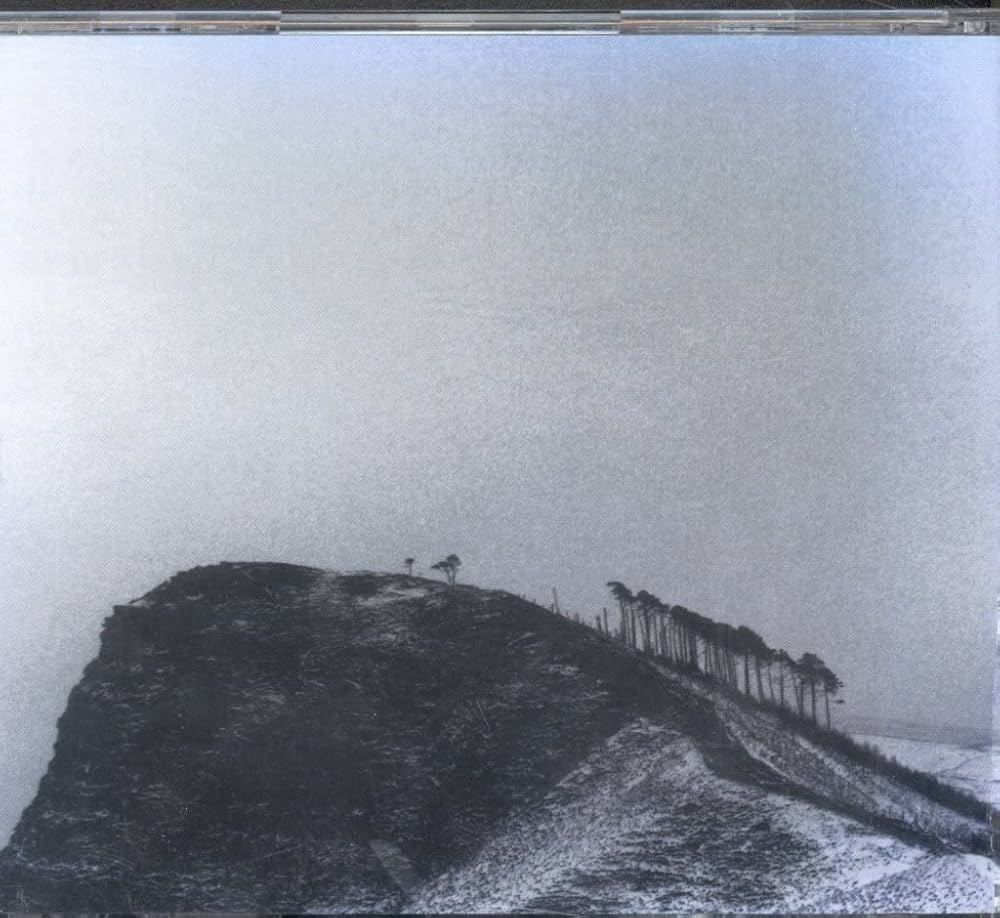 THE SEA AND CAKE OUI レコード The Sea And Cake – Oui | Releases | Discogs