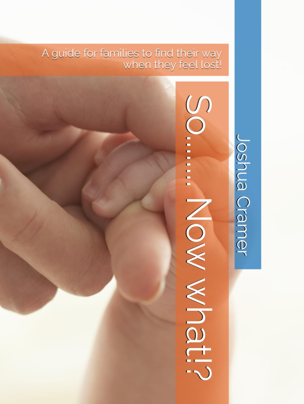 So........ Now what!?: A guide for families to find their way when they feel lost! (Society Unleashed)