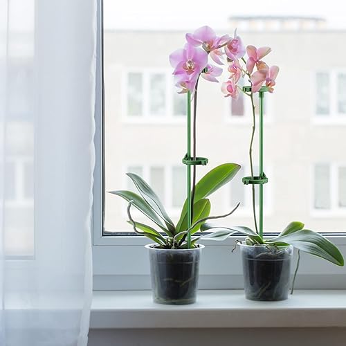 Miniatura 10 de BFYDOAA Paquete de 12 estacas de soporte de tallo único de 118 pulgadas de alto estacas de flores con clip de anillo ajustable para tomate peonía