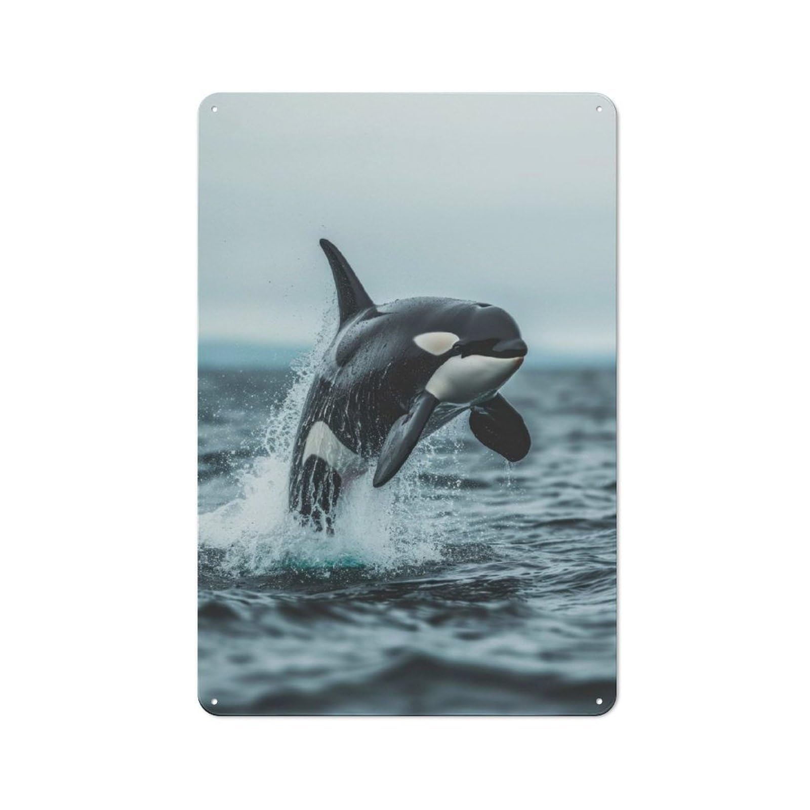Royal Orca Whale Killer Tin Sign 30x20cm for Living Room Wall, Rustic Wall Decor, for Living Room Decor Lovers