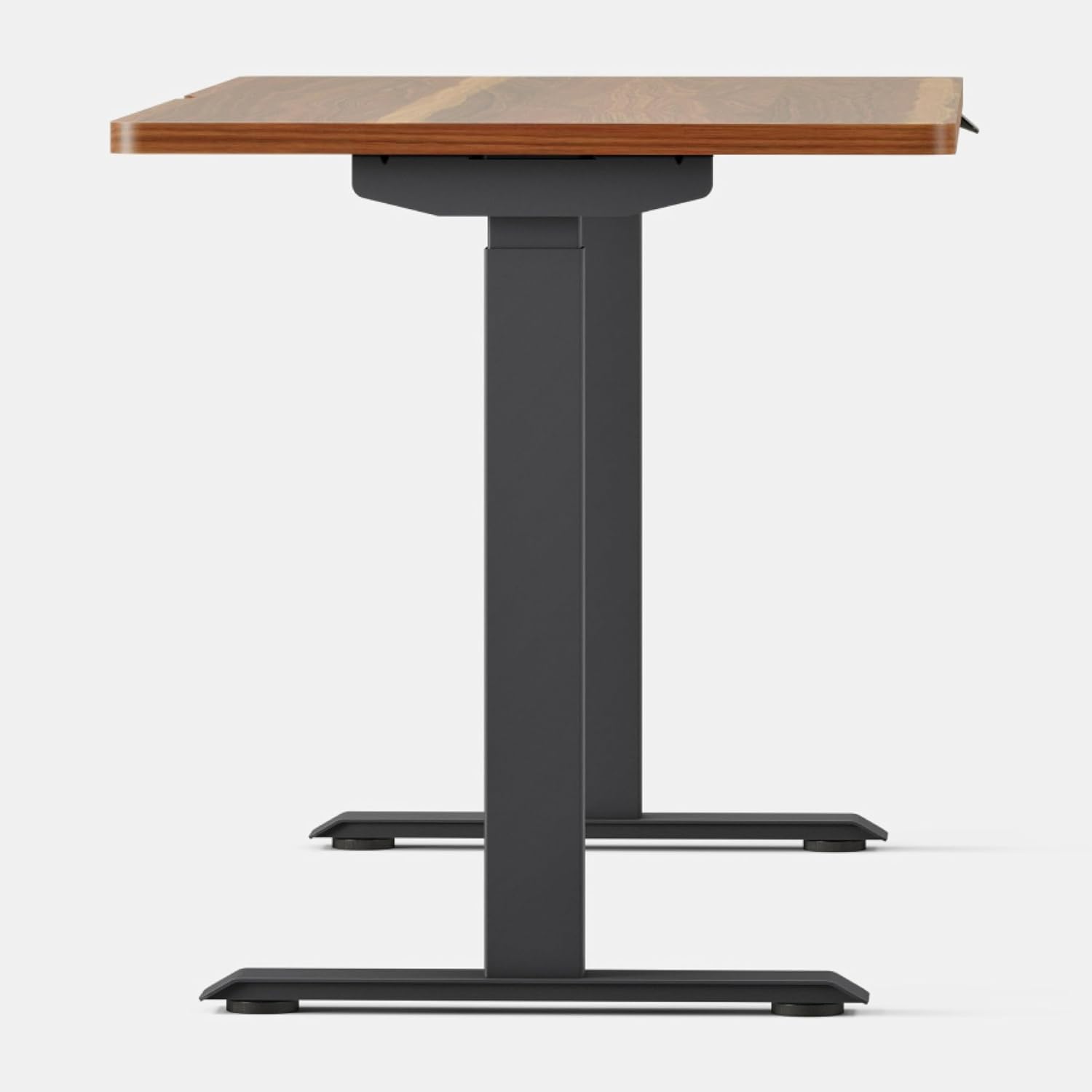Branch Duo Standing Desk 58 Inches - Adjustable Standing Desk with 20” Range - OLED Control Panel - Frameless Design & Compact Size Suitable for Many Spaces - Walnut Top - Charcoal Base