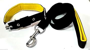 Ocean Wave Soft Padded Dog Collar and Leash (1.25-inch)