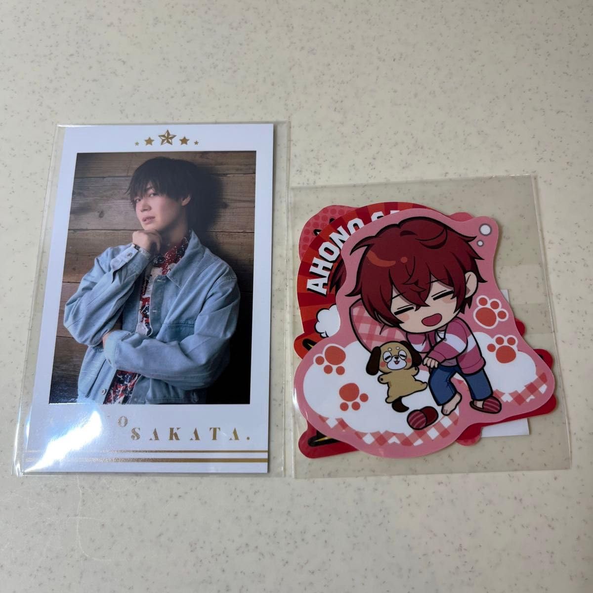 あほの坂田 となりの坂田 チェキ E賞 I 坂田くじ さかわん