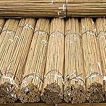 FlickBuyz Gardens Strong Thick Heavy Duty Professional Bamboo Plant Support Garden Canes (20, 2FT, 6-8MM)