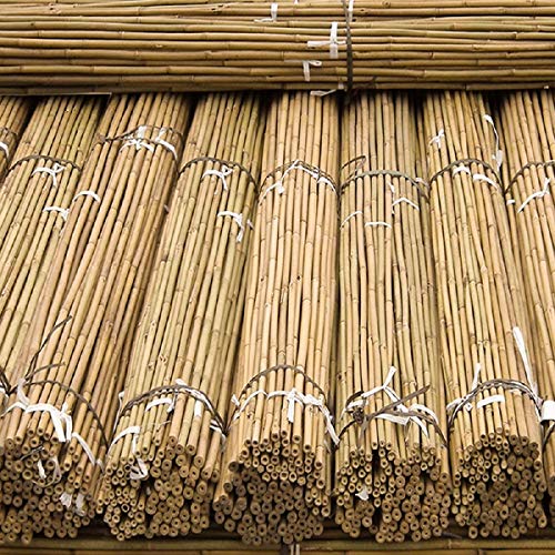 2ft 3ft 4ft 5ft 6ft 7ft 8ft Extra Thick Bamboo Canes Natural Stake Pole Garden Plant Flower Support Sticks Outdoor/Indoor Balconies Patios Heavy Duty Plants Support (10 4FT-120cm 14-16mm)