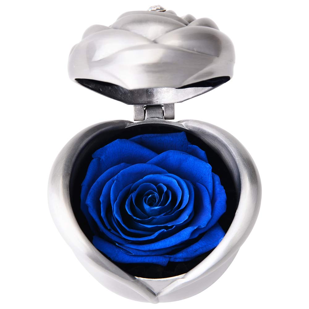 Dewanxin Rosa Eterna, Rose Stabilizzate, Fiore Mai Appassito, Artificiali Fresca Conservato, con Confezione Regalo, Regalo per Festa della Mamma San Valentino Anniversario di Matrimonio (Blu Rose