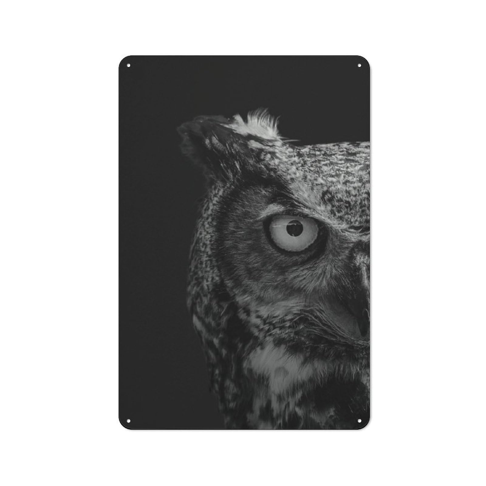Junmoney Owl Animals Garden Style Tin Sign 30X20cm Featuring Shed Wall Decor For Patio Bar, Workshop, Shed Or Kitchen