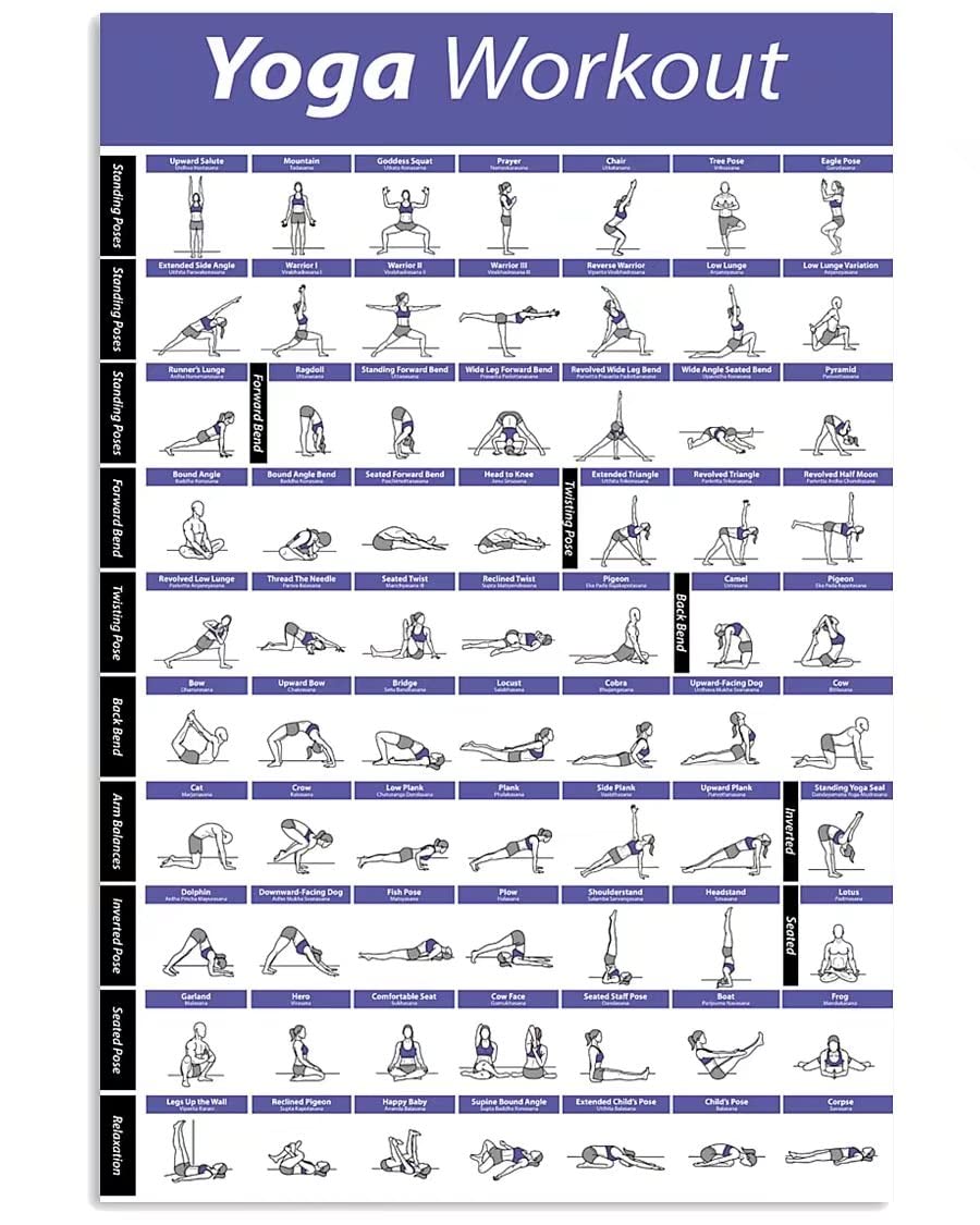 peiyeety Taekwondo Infographic Metal Sign Taekwondo Basic Kicks Posters Practical Home Club Taekwondo Gym Knowledge Wall Decor Plaque 8"x12"