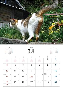 Amazon.co.jp: Hagoromo CL24-0402 2024 Wall Calendar, Kai Luck