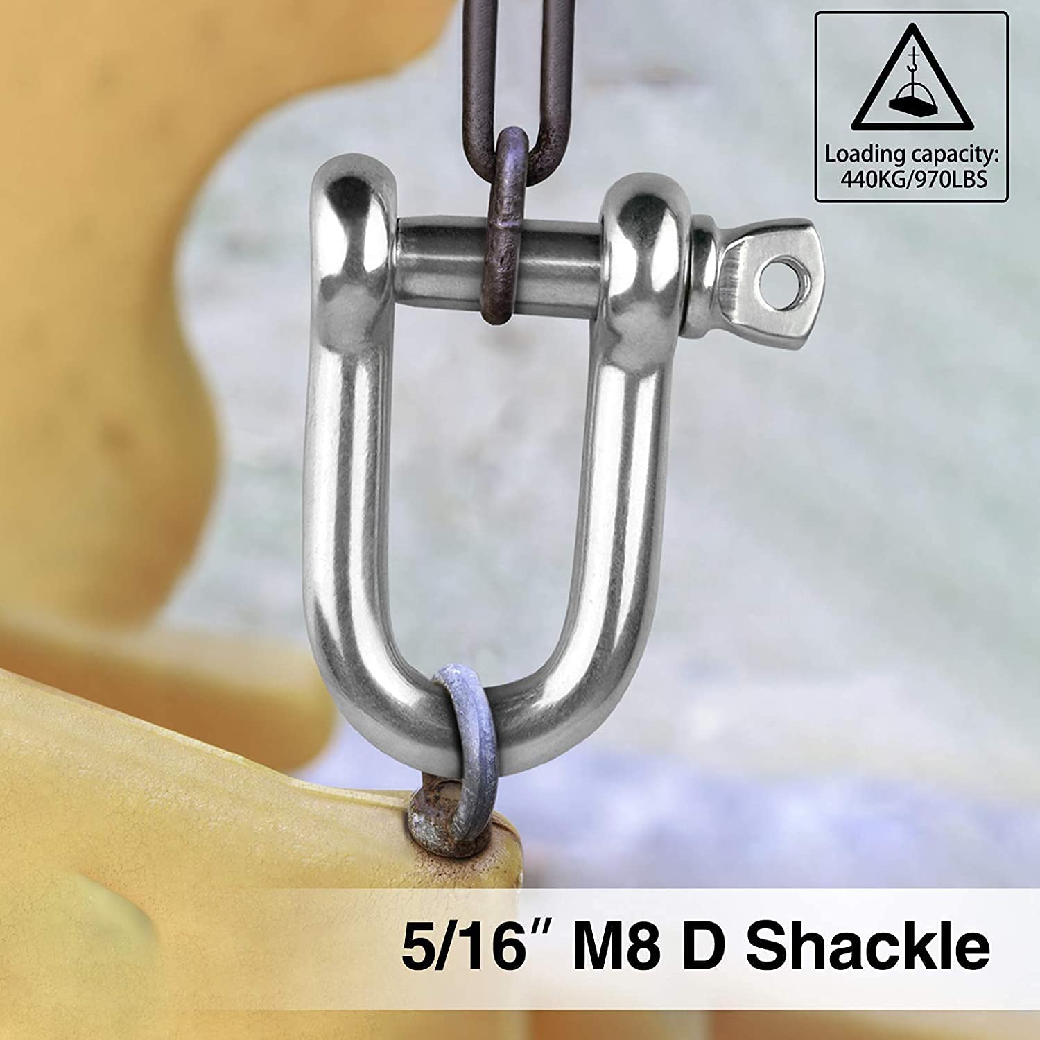 Manille à Vis M8 En Acier Inoxydable 316 - Capacité 400 Kg (882 Lbs), Dimensions Intérieures 27x17 Mm - 8