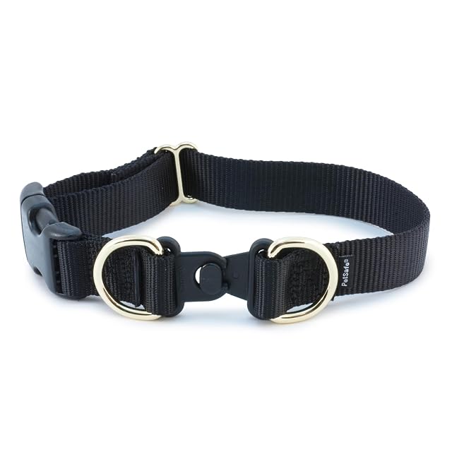 PetSafe KeepSafe - Collar para Evitar Accidentes de Collar para tu Perro o Cachorro, Mejora la Seguridad…