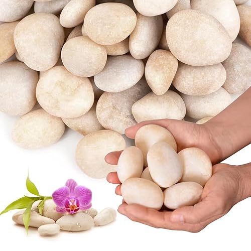 Rocas de río blanco crema de 10 libras para paisajismo al aire libre, guijarro pulido para plantas, piedras decorativas de jardín, 1-2 rocas grandes