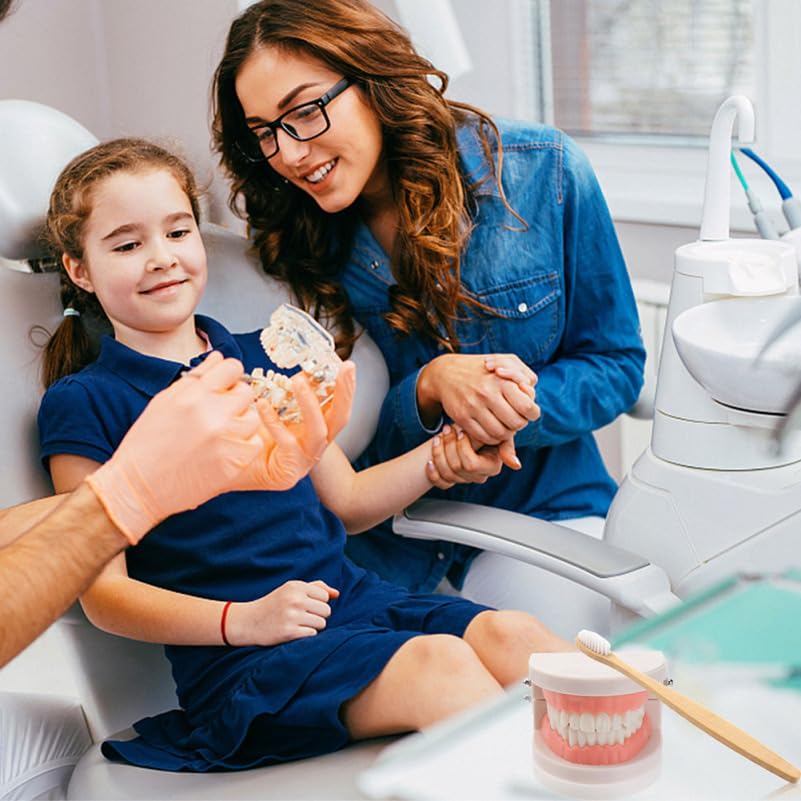 Alipis ModèLe De Dents Educatif Avec Brosse IntéGréE Et MâChoire ArticuléE Kit PéDagogique Pour Enseignement Des Soins Dentaires Enfants Outils Educatifs Dentaire