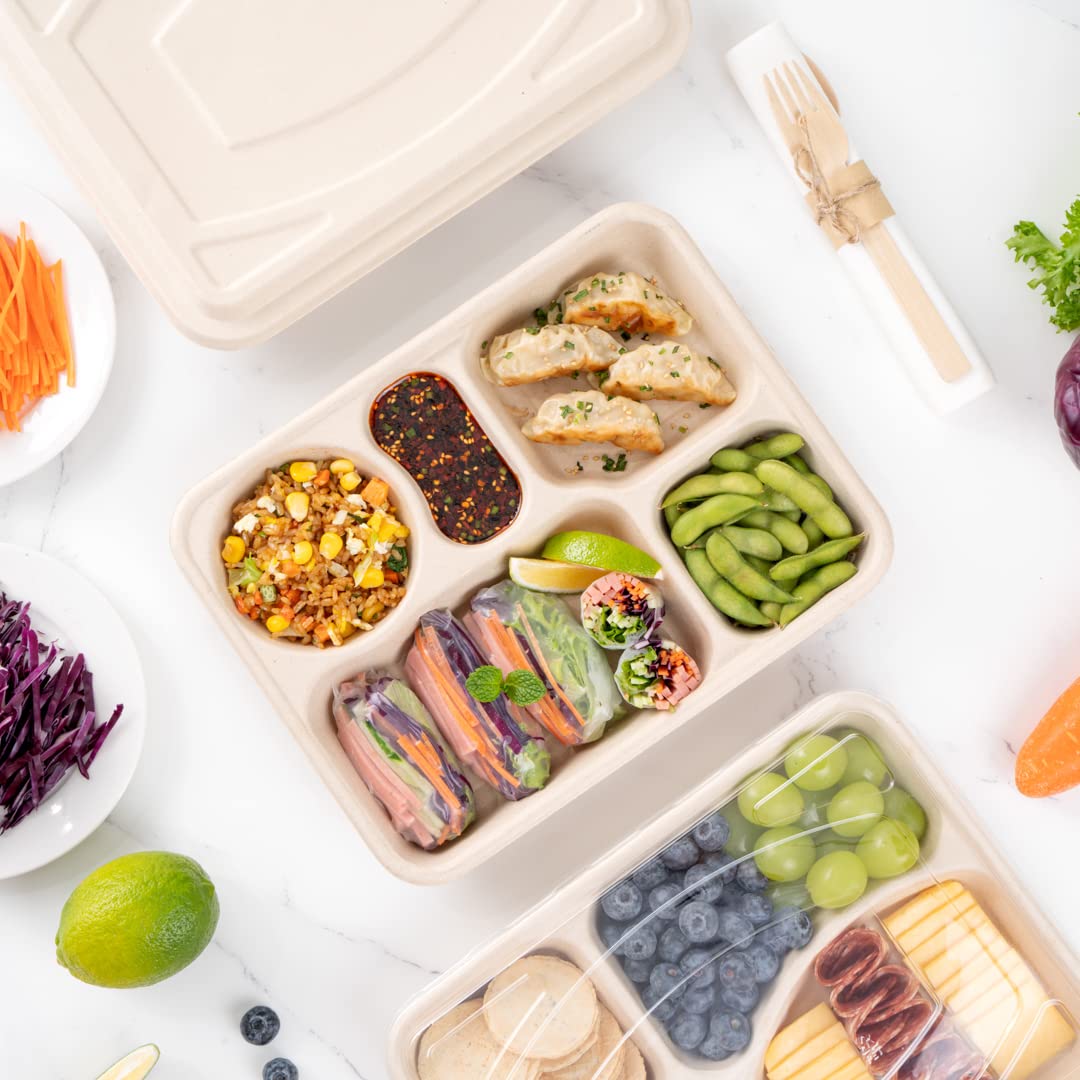 Restaurantware Pulp Tek - Recipientes de 1,219.0 g para llevar, 100 recipientes sostenibles, tapas se venden por separado, 5 compartimentos, platos de bagazo hechos de fibras de caña de azúcar, aptos