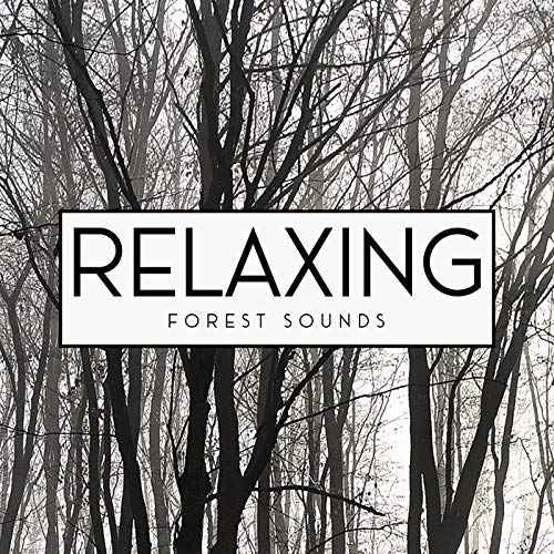 Relaxing Forest Sounds - Keep Calm with Nature Sounds, Water, Rain ...