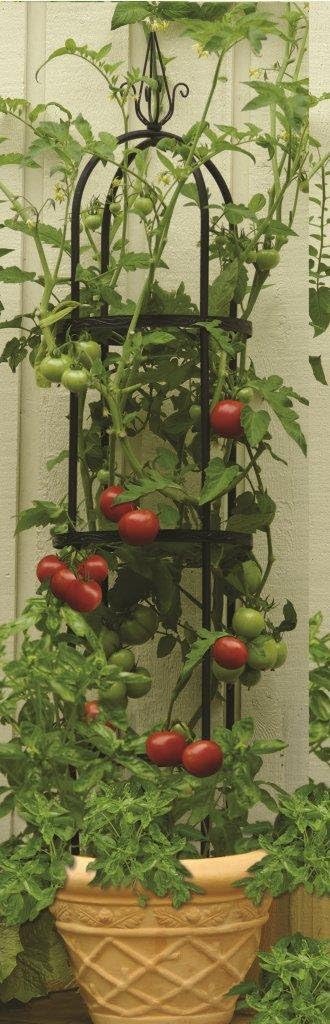 Luster Leaf Tomato Tower Obelisk