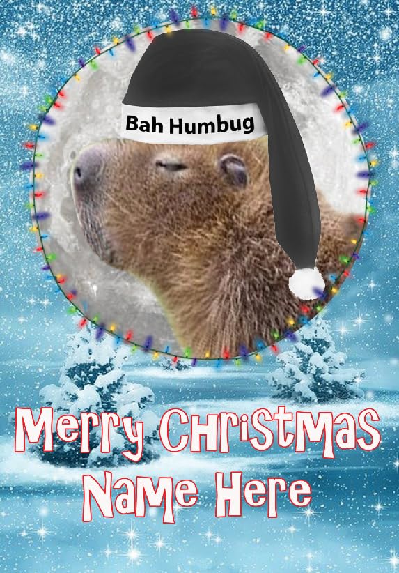 bh33 capybara Christmas greetings Card personalised fun cute a5