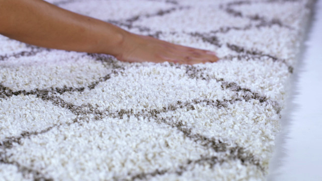 Amazon.com: SAFAVIEH Hudson Shag Collection Area Rug - 9' x 12