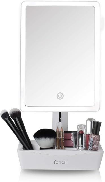 Fancii LED Lighted XL Large Vanity Makeup Mirror with 10X Magnifying Mirror - Dimmable Natural Light, Touch Screen, Dual Power, Adjustable Stand with Cosmetic Organiser (Gala)