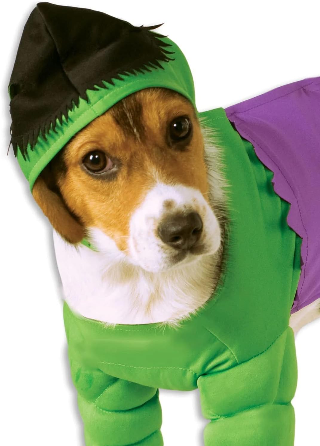 Rubie's Marvel Universe The Hulk Pet Costume, Large