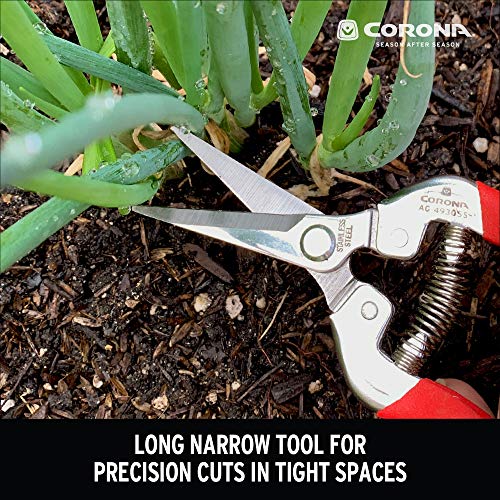 Corona AG 4930SS Long Straight, Stainless Steel Snip