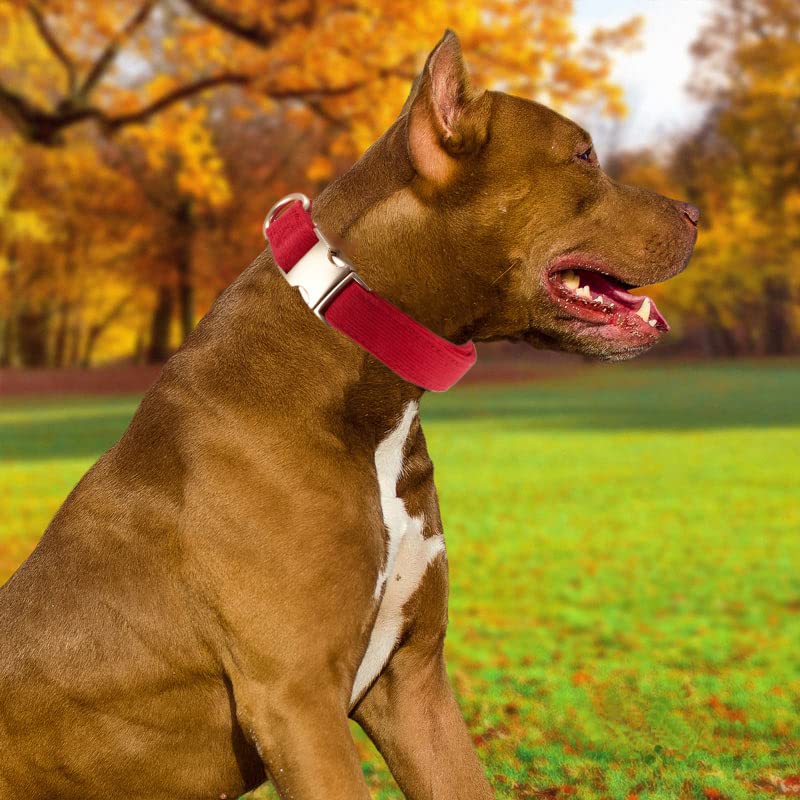 Petiry Soft Dog Collar with Safety Metal Buckle Adjustable Comfort Velvet Corduroy Christmas Collars for Medium Dogs,Red,Neck 31-49cm - Image 3