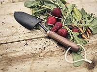 Vista 5 de Pala de mano Barebones - Herramientas de mano para jardinería - Pala y pala de acero inoxidable - Pala de jardín de calidad premium - Herramienta