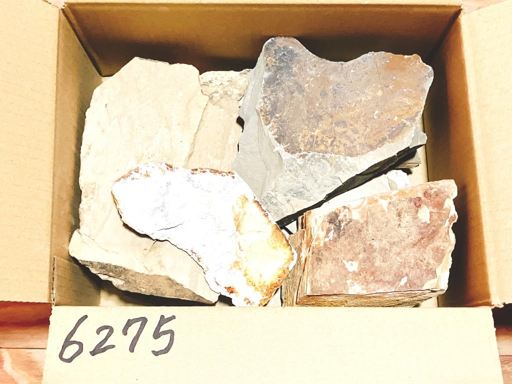 Amazon.co.jp: 天然砥石 山城銘砥 原石 奥殿 中山 大突 菖蒲谷 等 右京