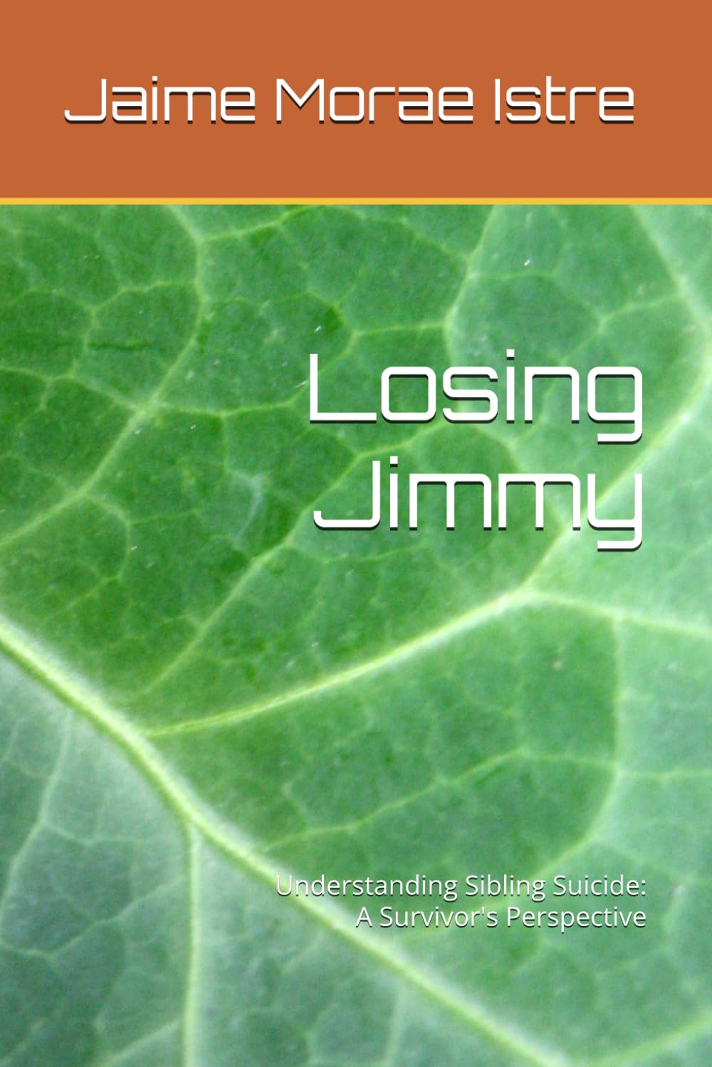 Losing Jimmy: Understanding Sibling Suicide: A Survivor's Perspective