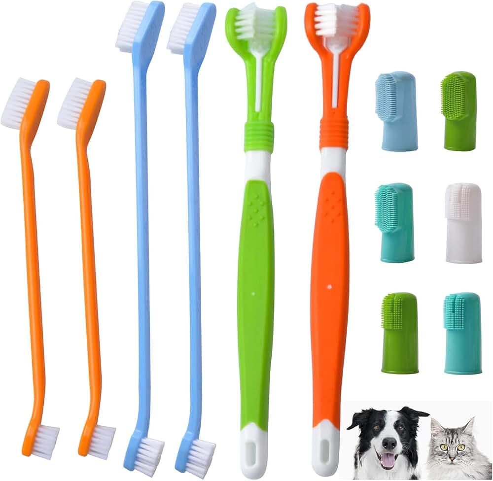 Amazon.co.uk Toothbrushes For Dogs Toothbrushes For Dogs / Dental