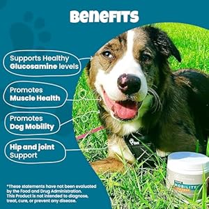 Pawmedica Glucosamine for Dogs Hip  Joint Care Chews for Dogs Joint Support for Dog Joint Supplements with Hemp Mobility for Dogs Senior Dog Joint Supplement Large Breed  120 Dog Hemp Chews  Cucciolini Doodles Pawmedica glucosamine for dogs hip  joint care chews for dogs joint support for dog joint supplements with hemp mobility for dogs senior dog joint supplement large breed  120 dog hemp chews   cucciolini doodles