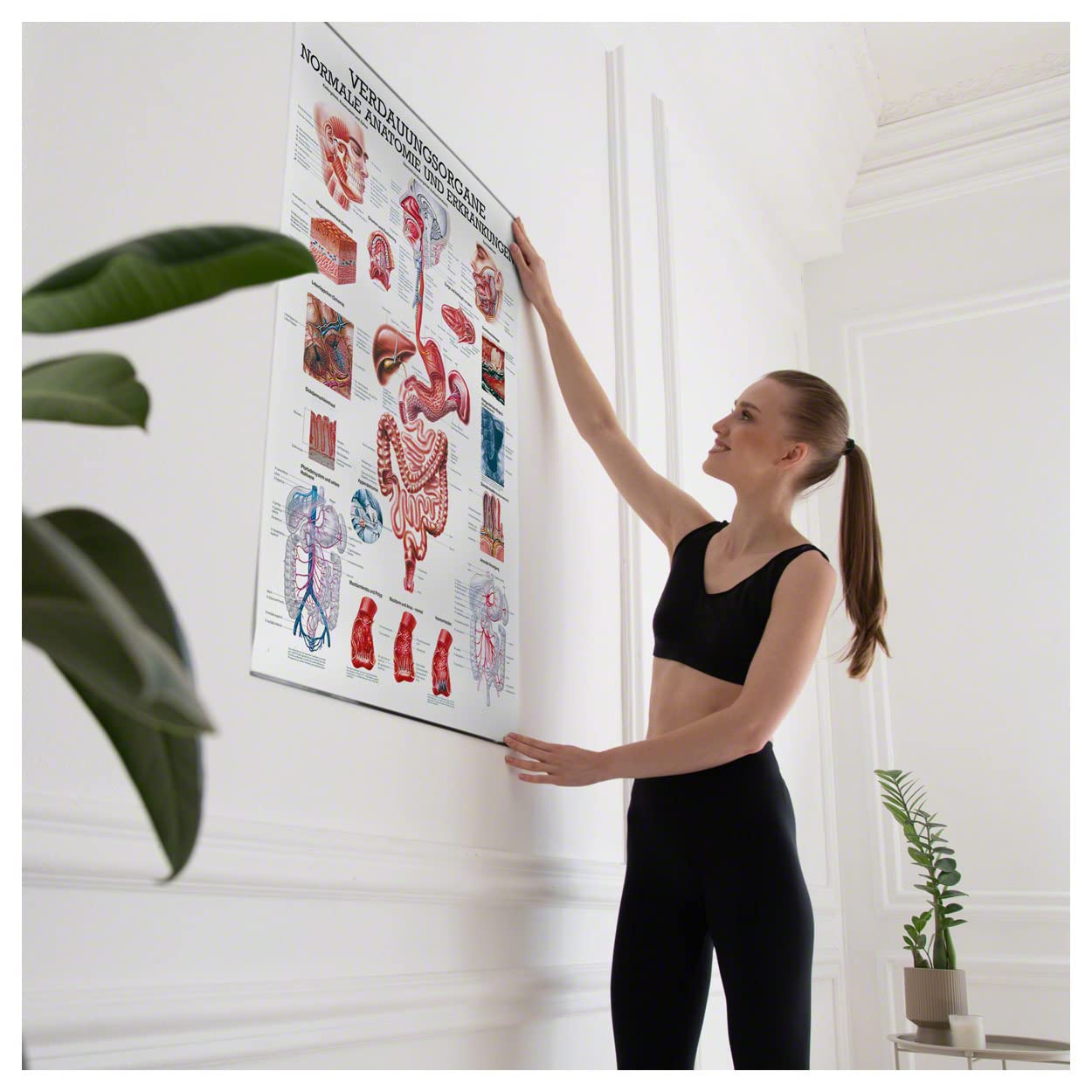 Rüdiger Anatomie Lehrtafel 100x70 cm medizinische Wandbild Klassenzimmer