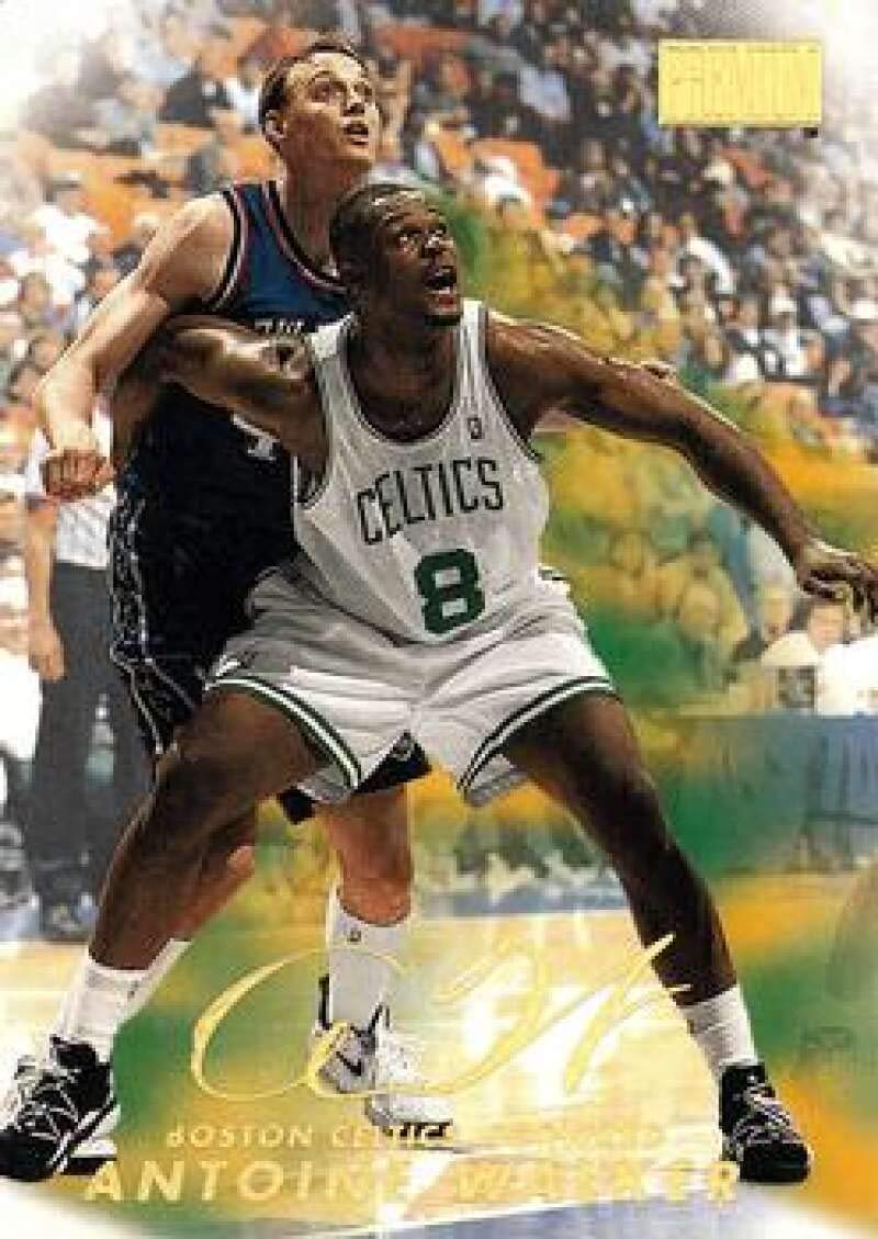 Amazon.com: 1998-99 SkyBox Premium Basketball #34 Antoine Walker