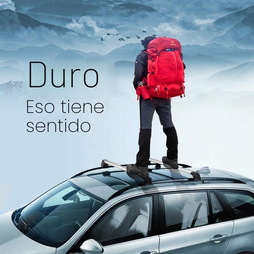 Barras de Techo para Ford S-MAX 2006 2007 2008-2013 2014 2015,Portaequipajes para Coche,Aleación de Aluminio 2 Piezas,1