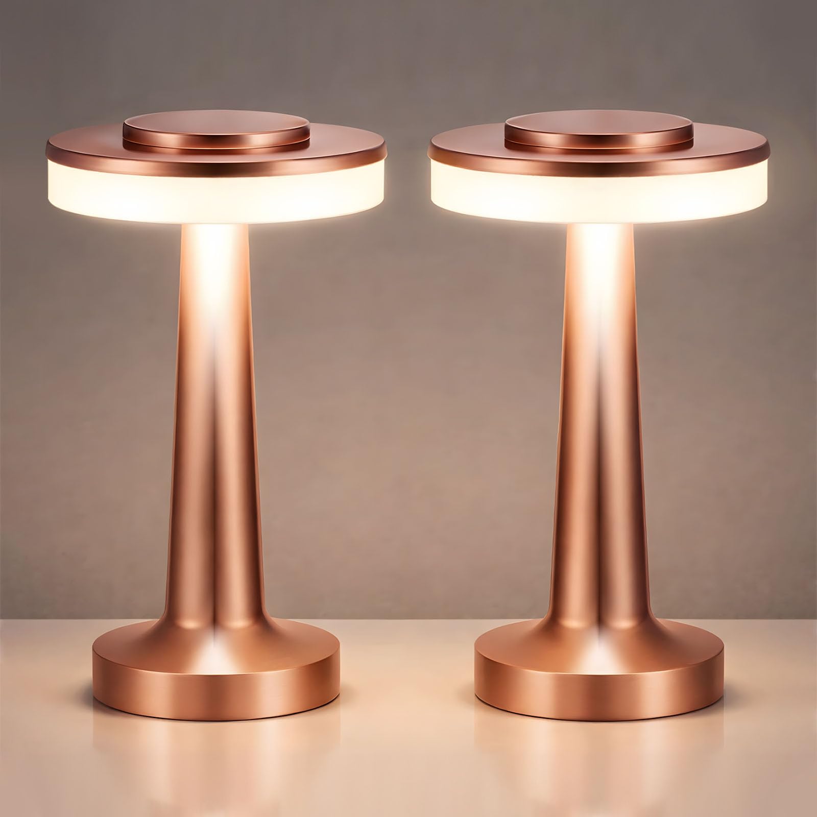 Riakrum 2 Pcs LED Cordless Table Lamp Bulk Rechargeable,Rose Gold
