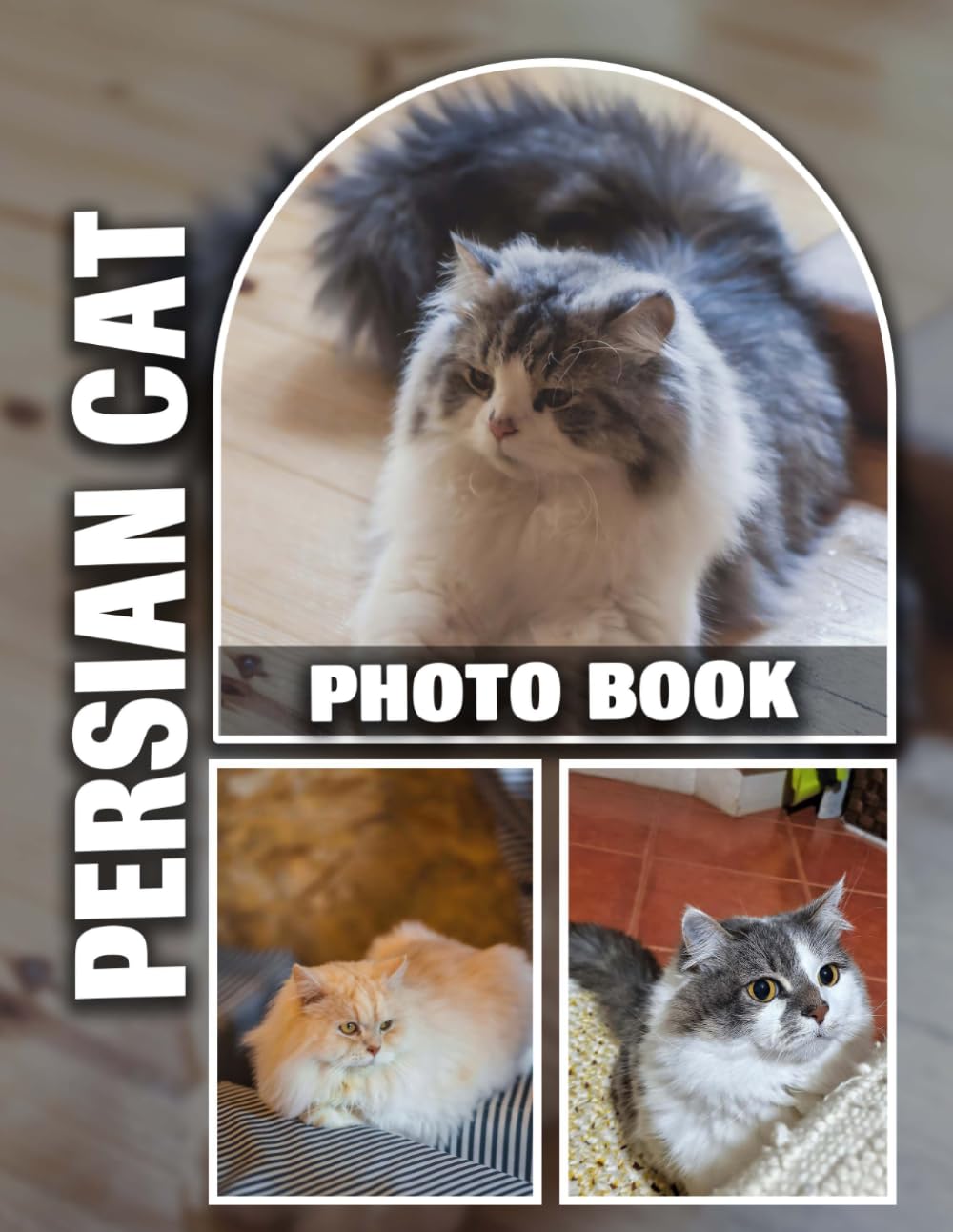 Persian Cat Photo Book: Mesmerizing Beauty of Elegant Persian Feline Captured in 40 High-Resolution Images | Ideal Keepsake for Persian Cat Admirers and Cat Enthusiasts