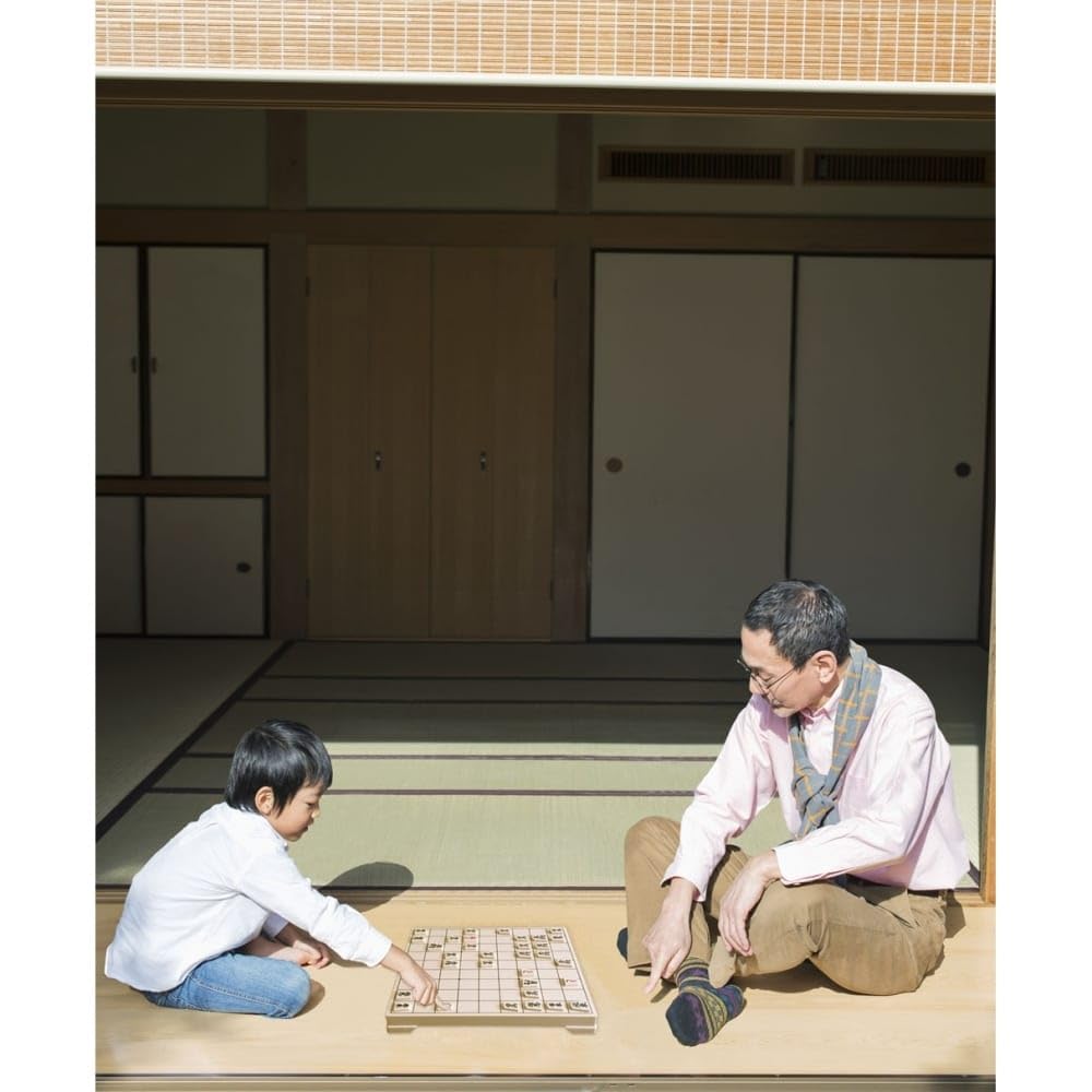 Hanayama Shogi authentique, 530 g, à partir de 6 ans