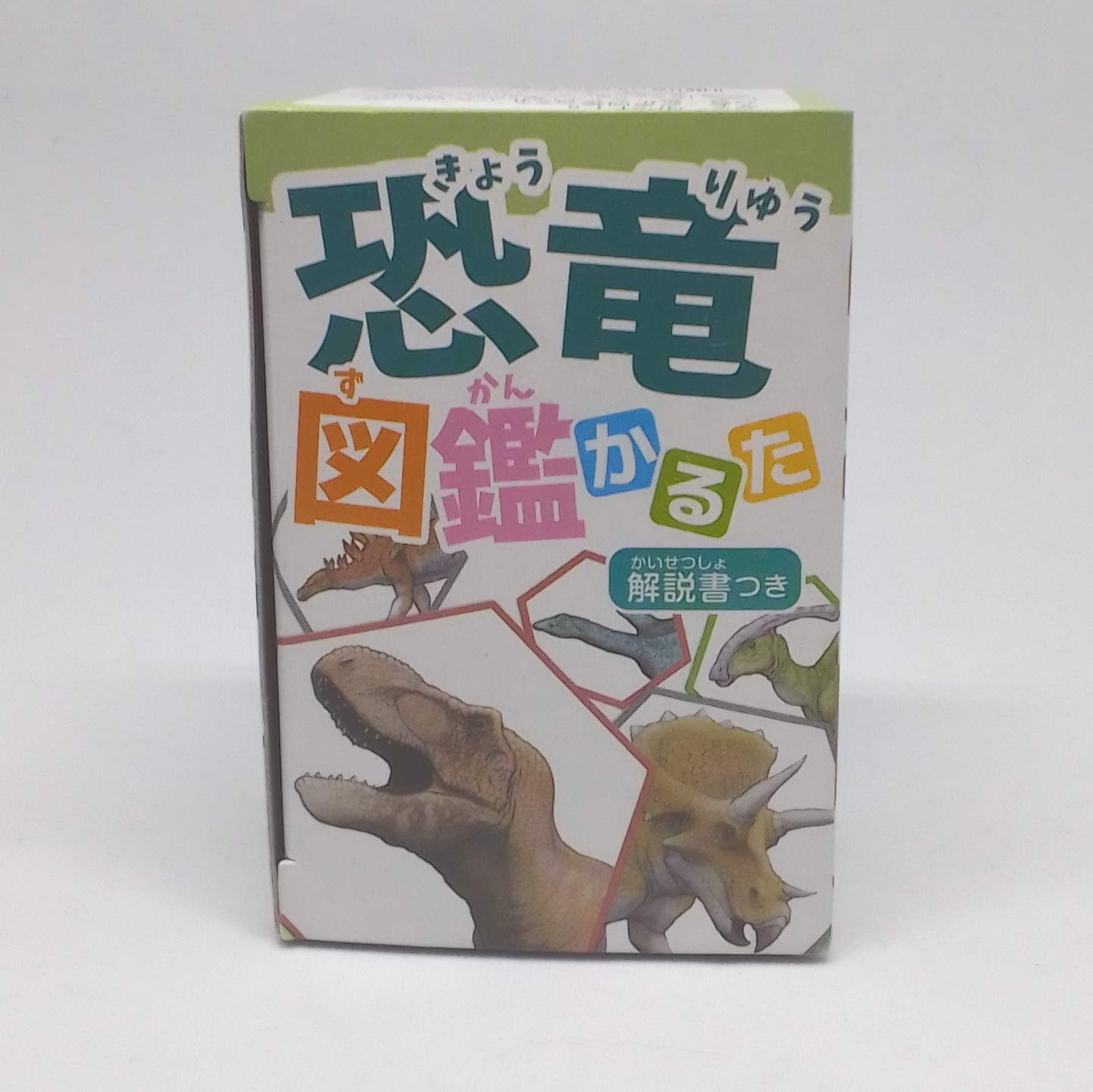 Amazon | かるた 恐竜図鑑 絵札・読み札各47枚、白札6枚入 解説書付