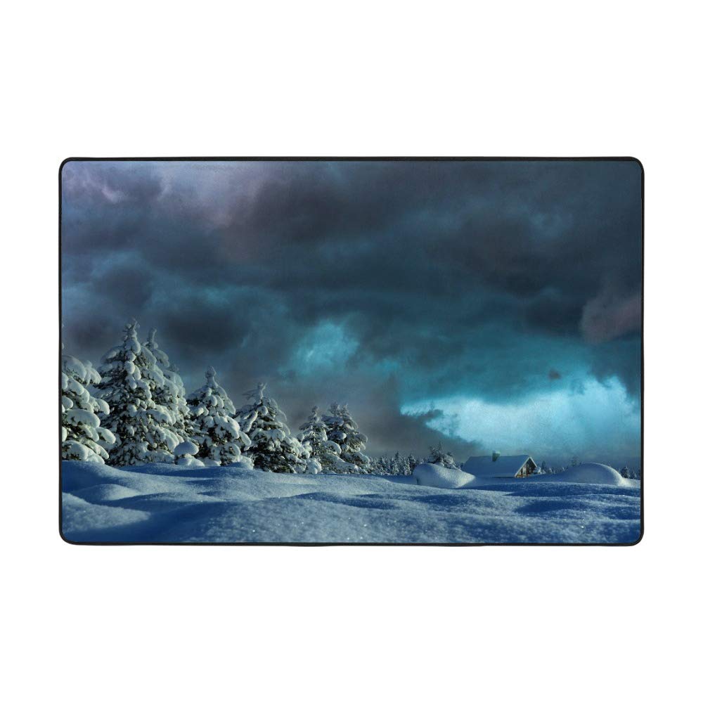 Tapis de salon en velours corail Ruchen pour réchauffer vos hivers à la maison 152x99cm