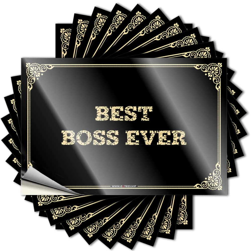 Saying Western Vinyl Decals, Tiki Bar Accessories Waterproof Cover Stickers for Water Bottle | Best Boss Ever Perfect for Western Laptop Decor(12X18CM)