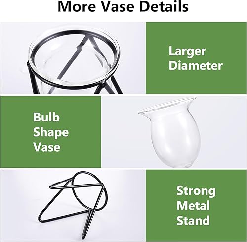 Miniatura 3 de Jspupifip 3 piezas de terrario de cristal para plantas con soporte de metal, soportes para plantas de aire, jarrones hidropónicos para plantas de