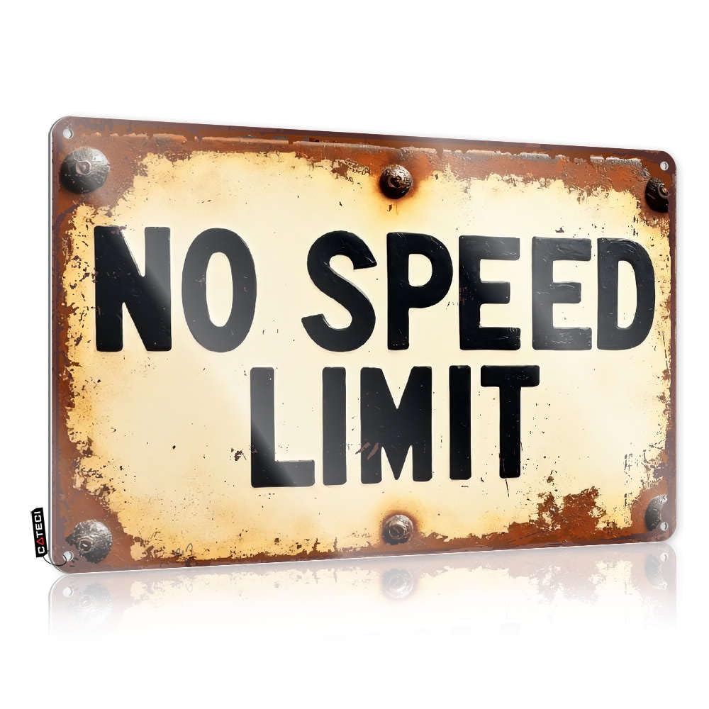 Fzfn Boys Colour Vintage Poster Bath Decor Vintage Wall Decor | No Speed Limit Premium Soft Bath For Patio Bar Home Decoration(30X40cm)
