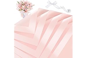 ZORRITA Delicate Pink Ramo Buchon Paper